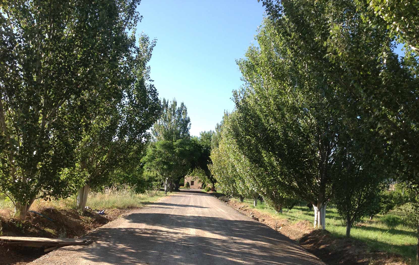 actividades en casa rural El Cónsul en La Rioja