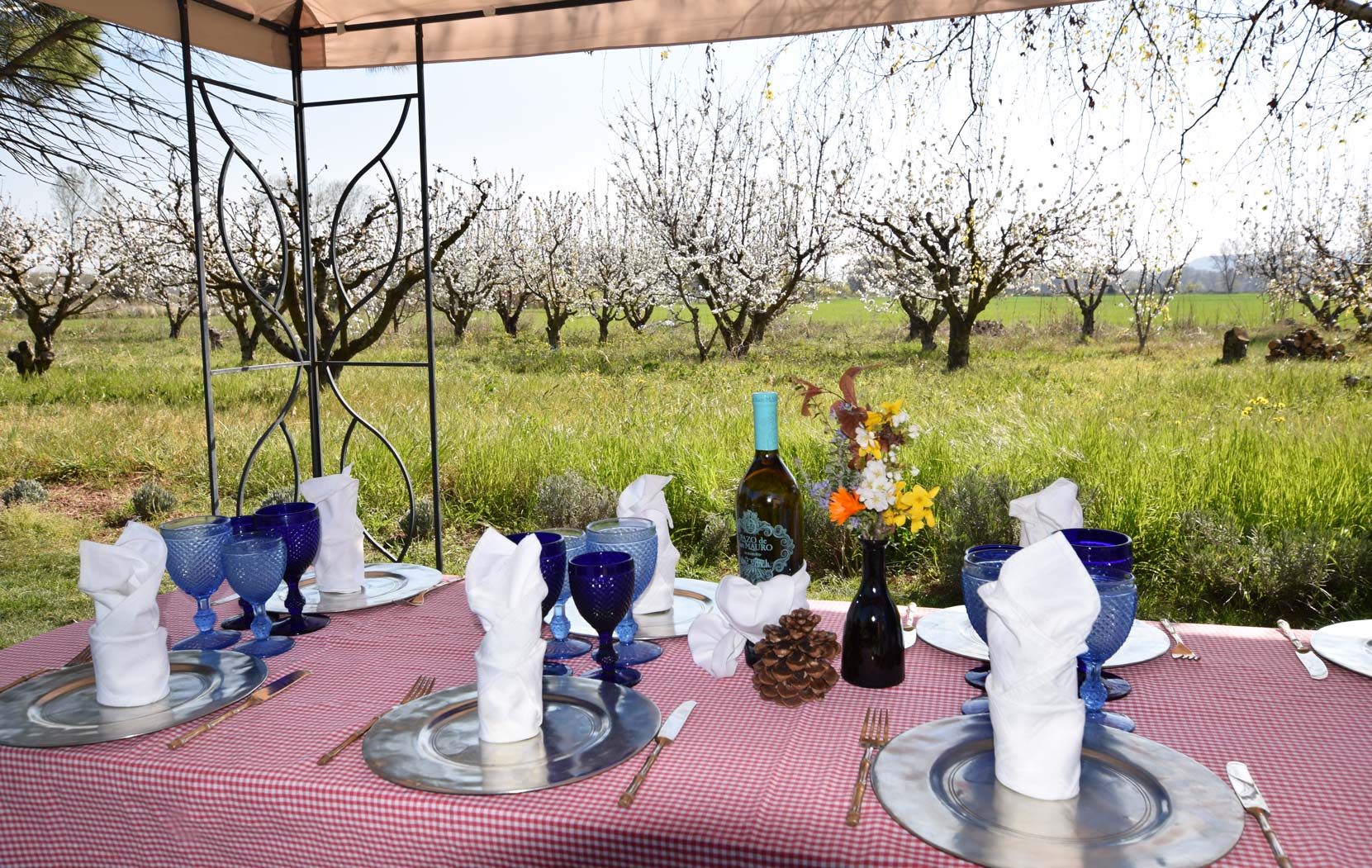 Casa rural en La Rioja Finca El Cónsul