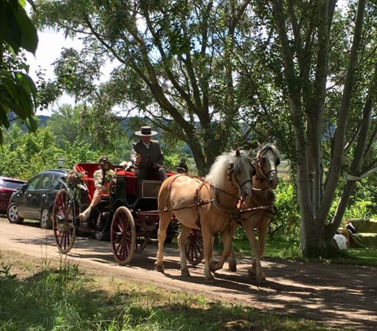 Bodas con calecha de caballos en La Rioja Finca El Cónsul