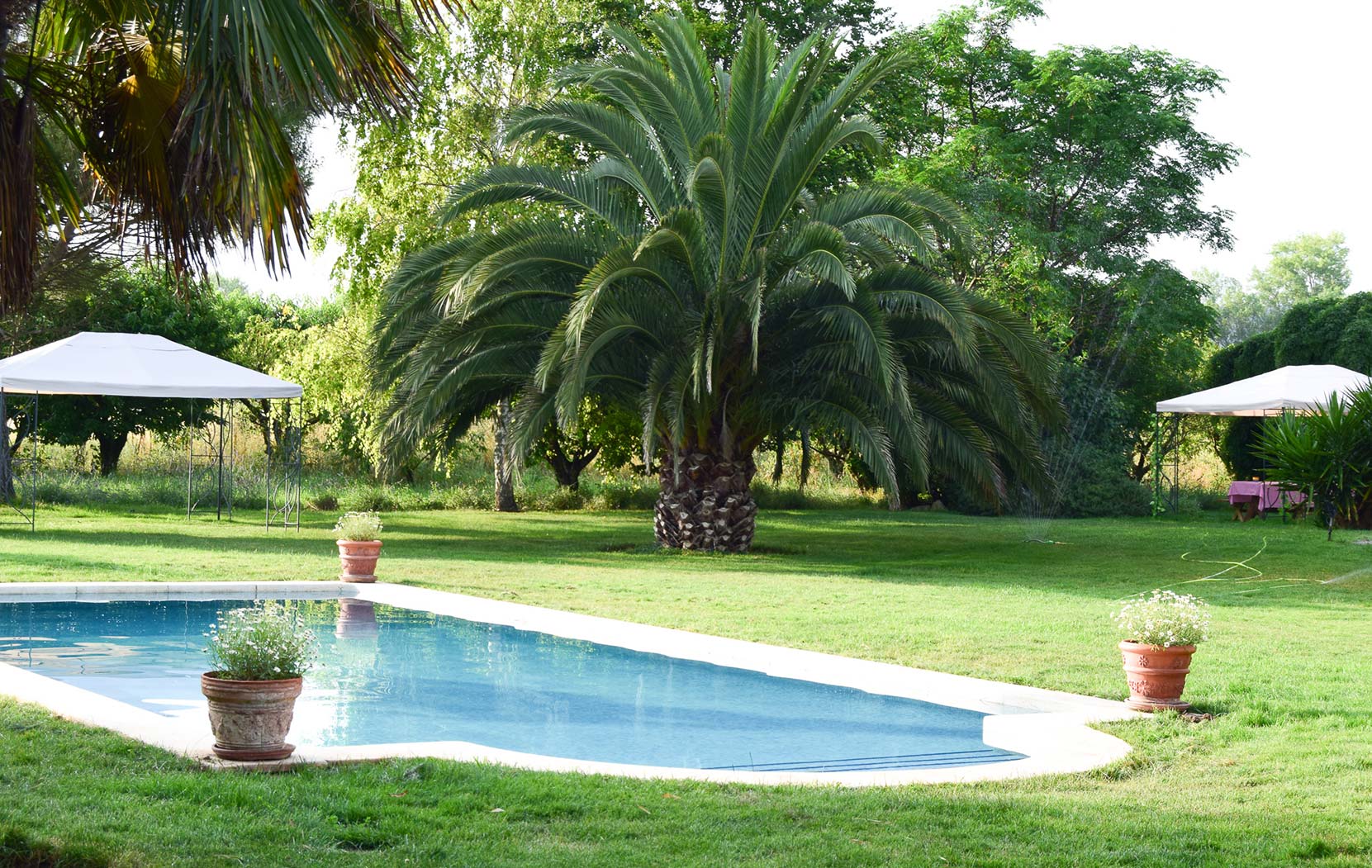 Casa rural con piscina en La Rioja Finca El Cónsul